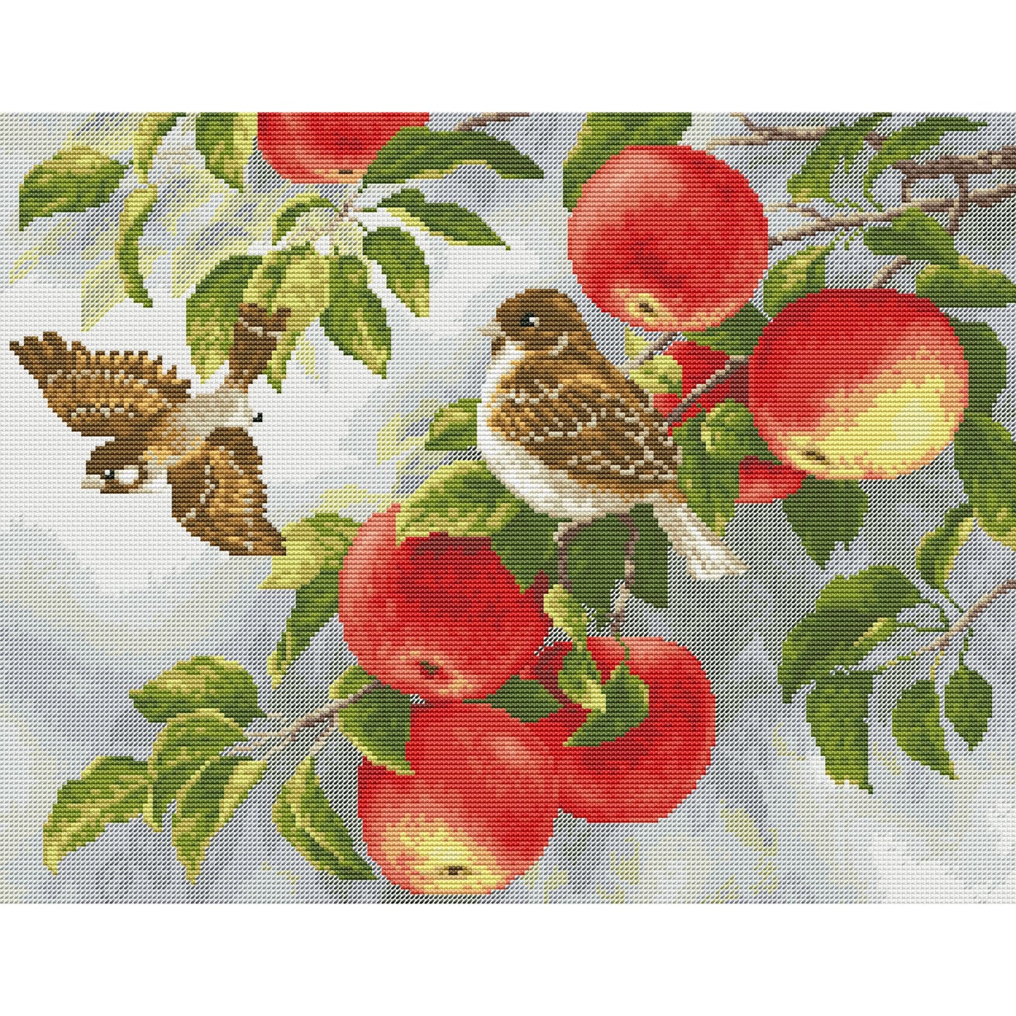 Apple  and birds Counted cross stitch pdf pattern | Country birds Digital cross stitch chart | hand embroidery bird