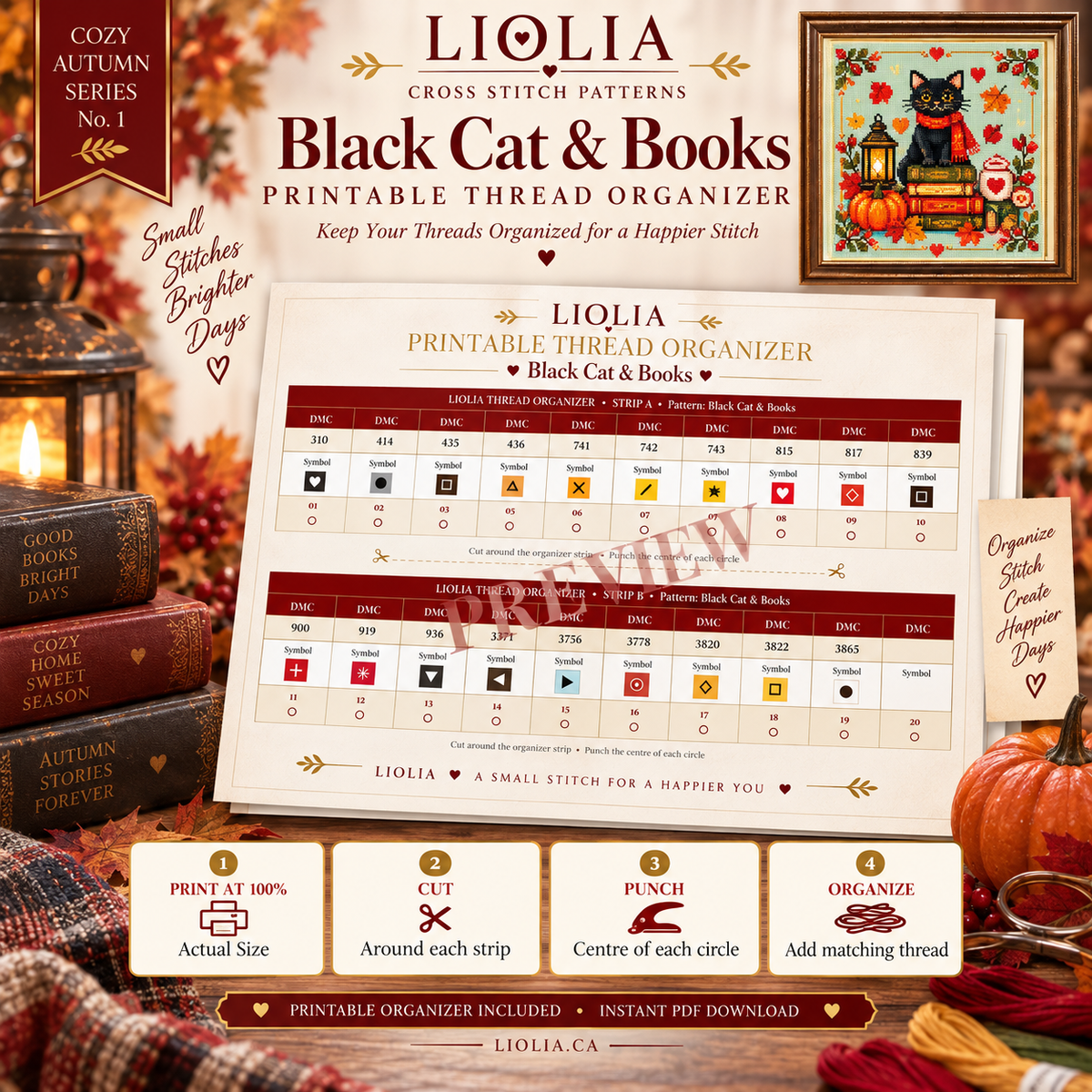 Black Cat & Books Cross Stitch Pattern PDF